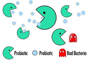 پره بیوتیک و پرو بیوتیک