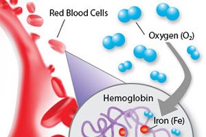 کم خونی | anemia
