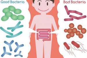 پره بیوتیک | prebiotics