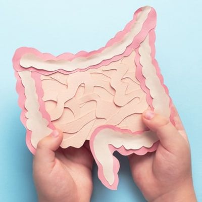 what-is-prebiotics| پره بیوتیک چیست؟